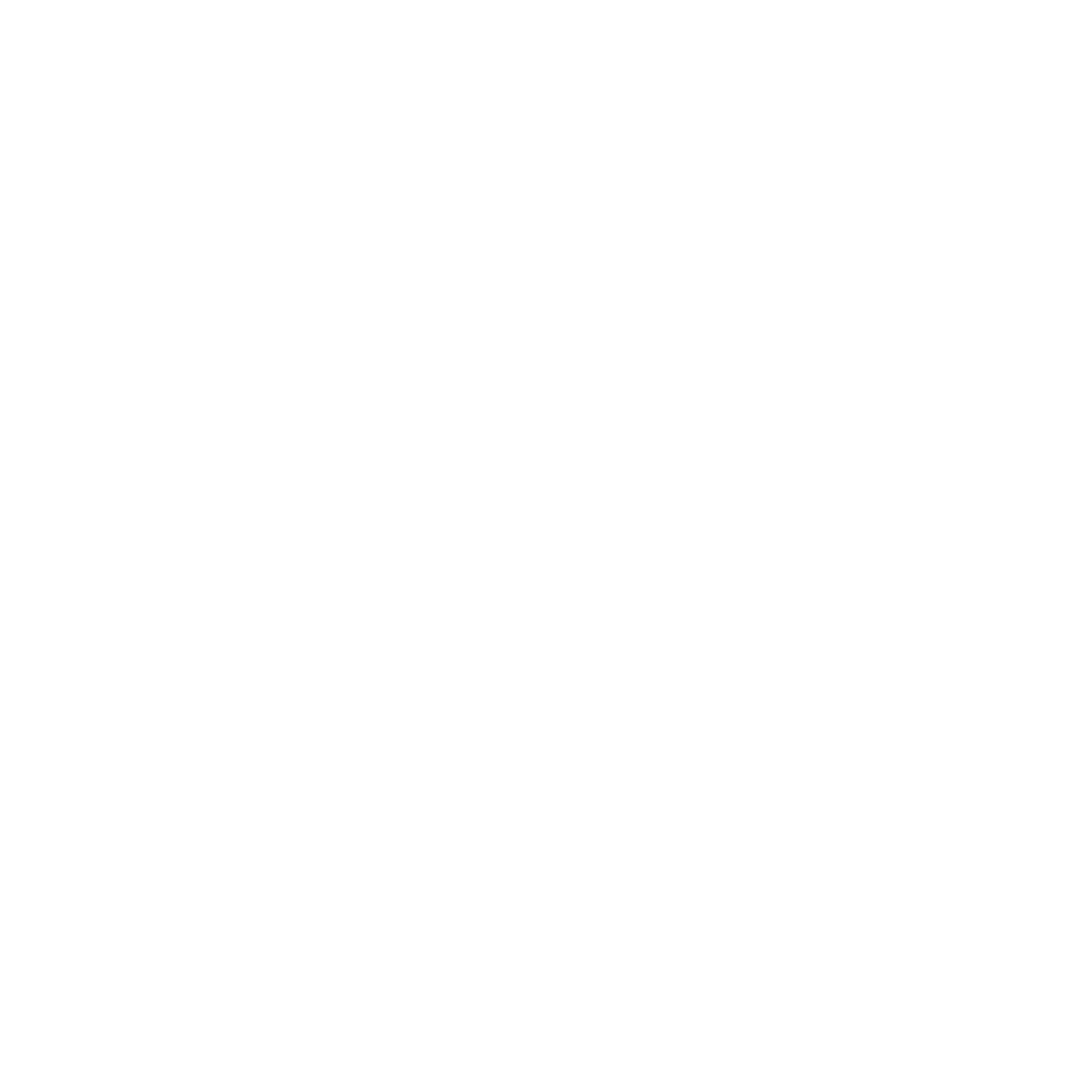 VairaaPe Logo